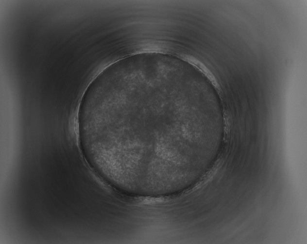 X0000100890890200807151055