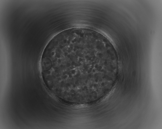 X0000100890891200807151055