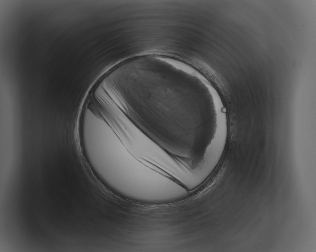 X0000100890892200807151055