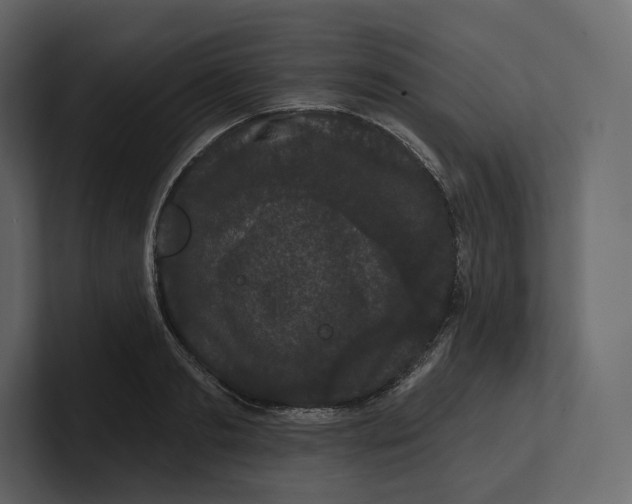 X0000100890893200807151055