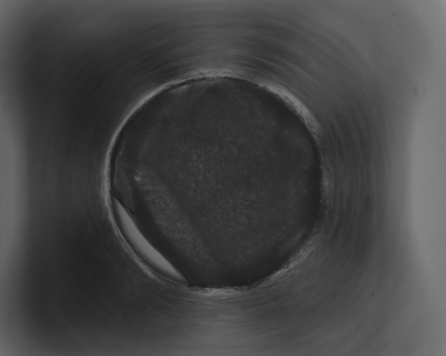 X0000100890894200807151055