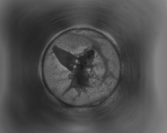 X0000100890895200807151054