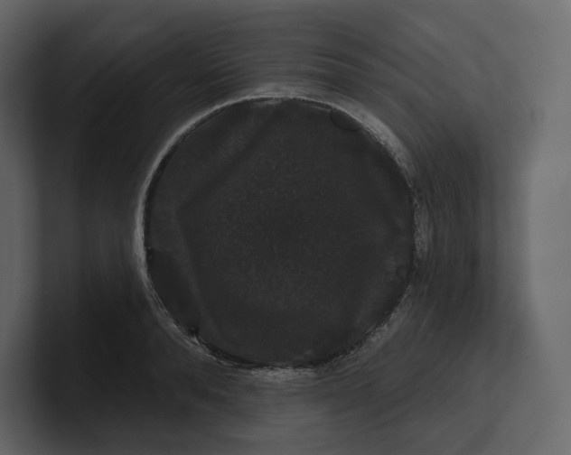 X0000100890896200807151054