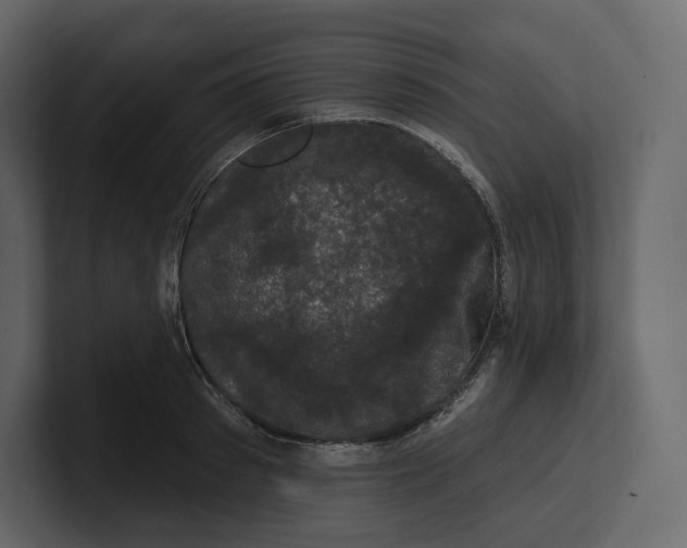 X0000100890897200807151054