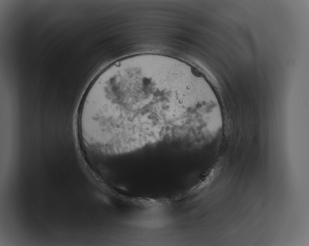 X0000100890899200807151054