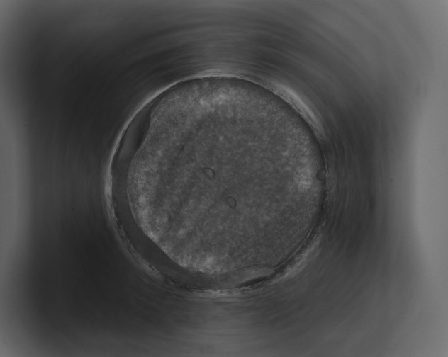 X0000100890900200807151054