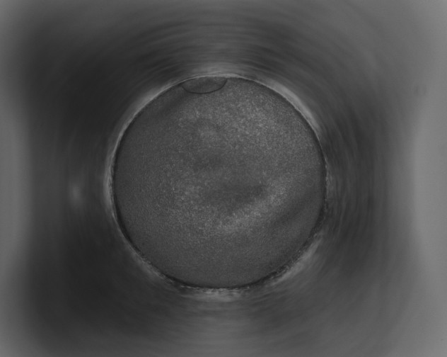 X0000100890901200807151054