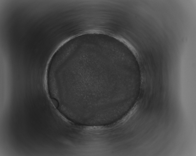 X0000100890902200807151054