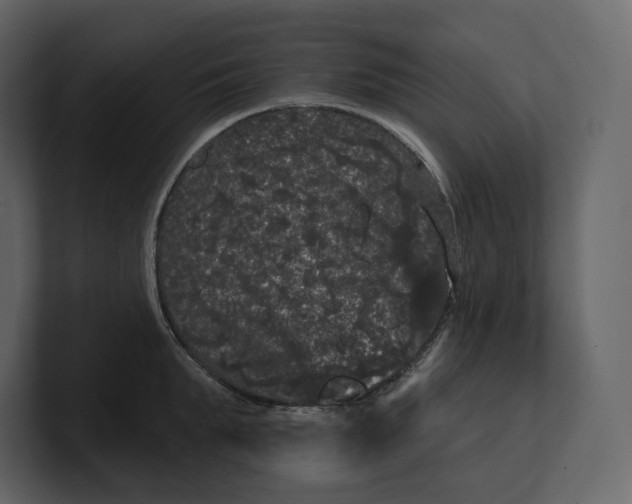 X0000100890903200807151054