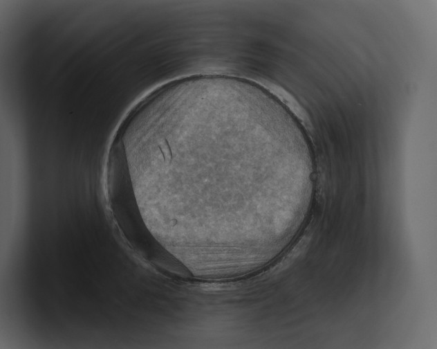 X0000100890904200807151054