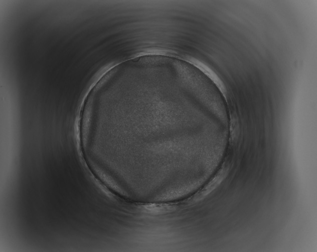 X0000100890906200807151054