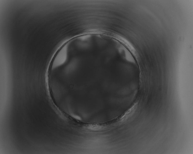 X0000100890907200807151054