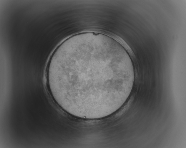 X0000100890908200807151054