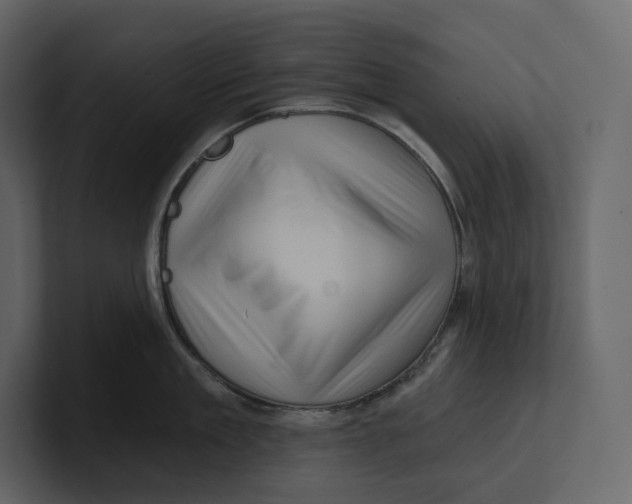 X0000100890909200807151054