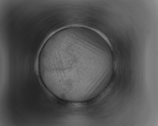 X0000100890911200807151054