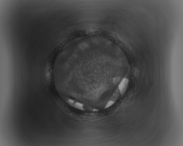 X0000100890914200807151054