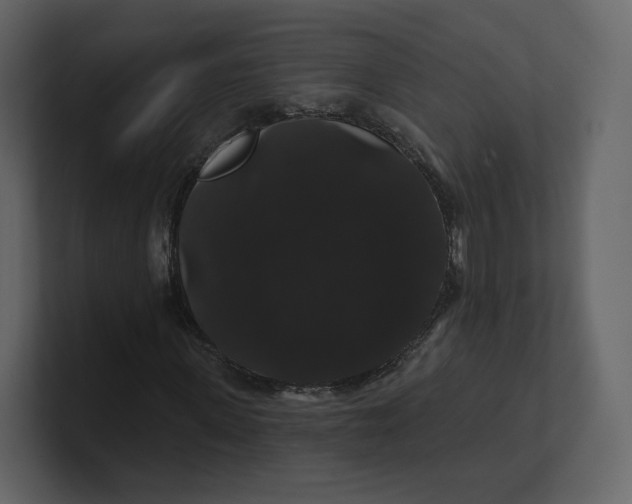 X0000100890915200807151054