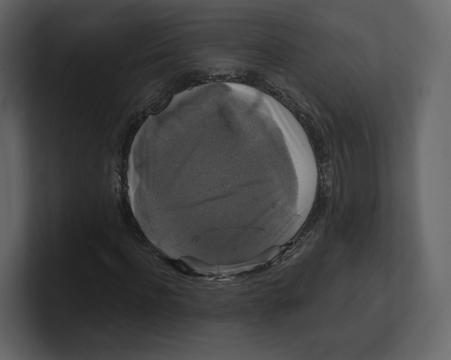 X0000100890916200807151054