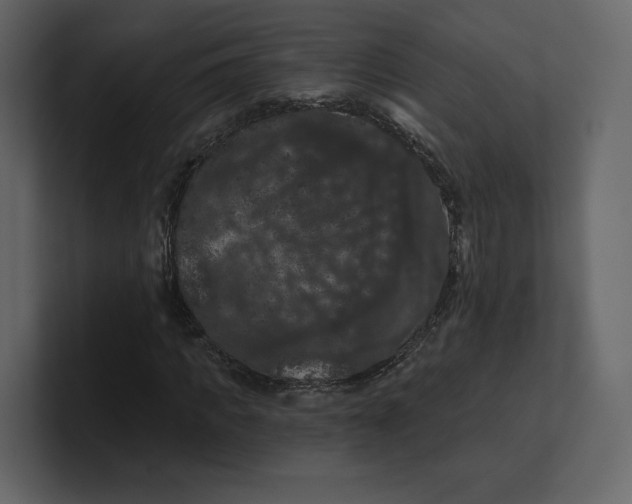 X0000100890917200807151054