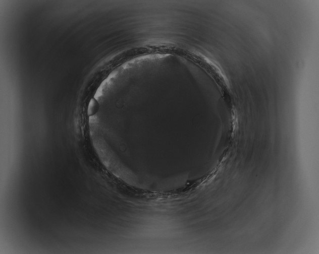 X0000100890920200807151054