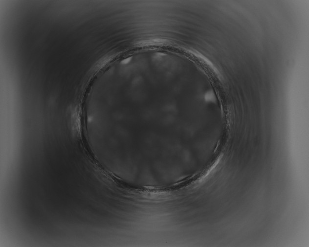 X0000100890921200807151054