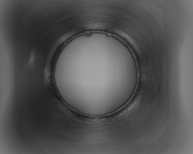 X0000100890922200807151054