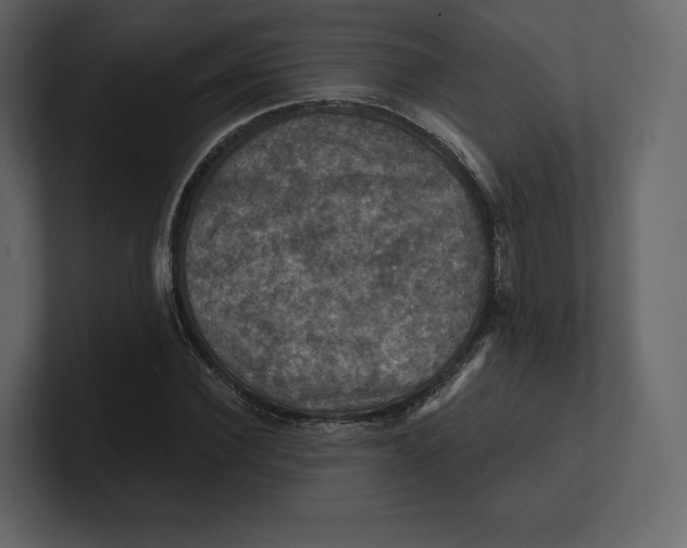 X0000100890924200807151054