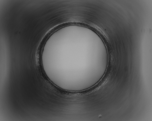 X0000100890926200807151054