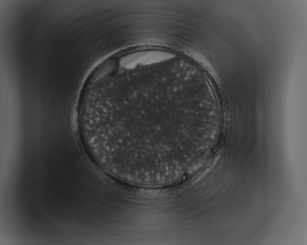 X0000100890928200807151054