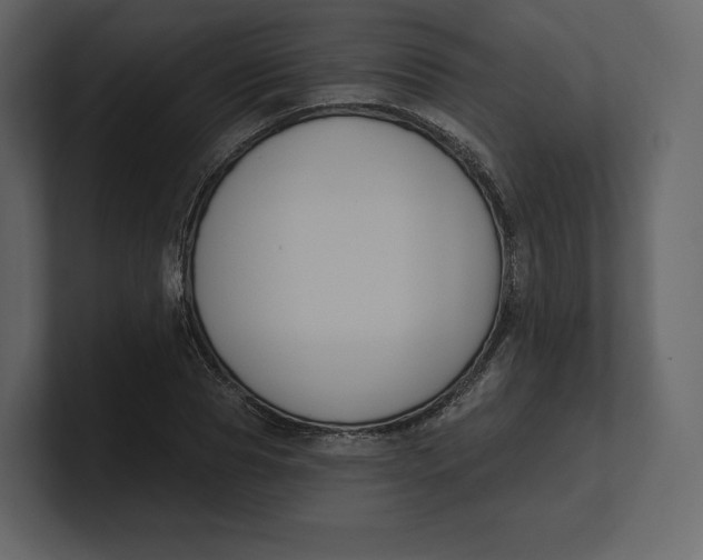 X0000100890929200807151054