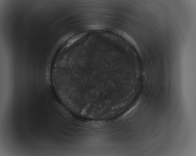 X0000100890930200807151054