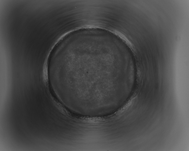 X0000100890934200807151054