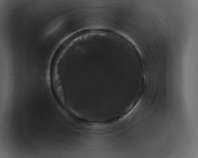 X0000100890935200807151054