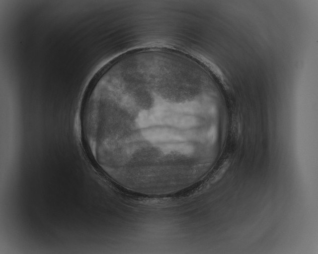 X0000100890936200807151054