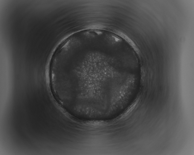 X0000100890939200807151054