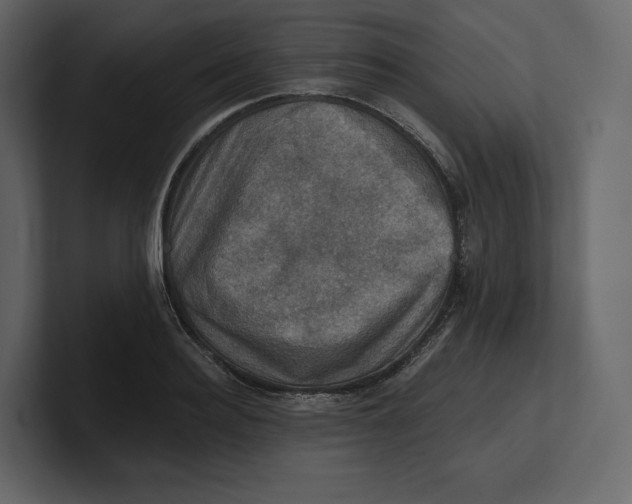 X0000100890940200807151054