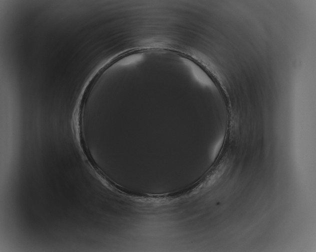 X0000100890941200807151054