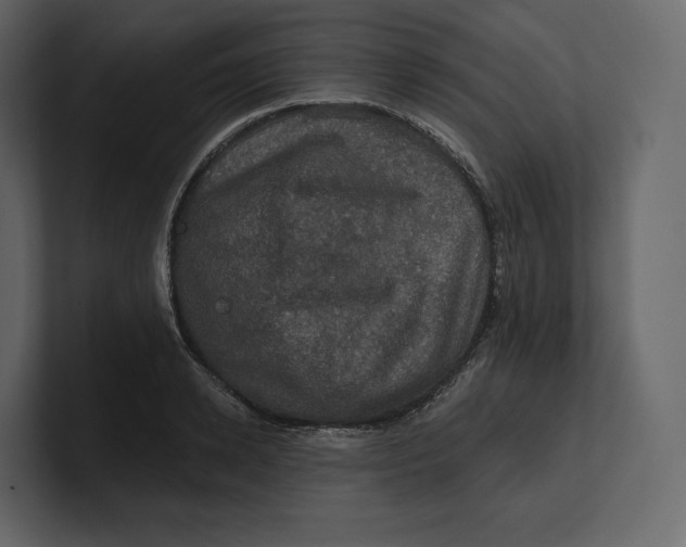 X0000100890942200807151054