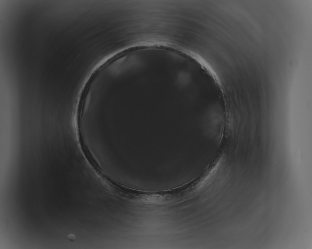 X0000100890943200807151054