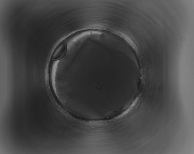 X0000100890944200807151054