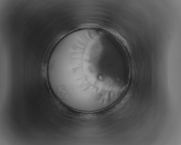 X0000100890945200807151054