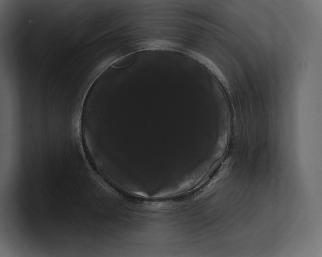 X0000100890946200807151054