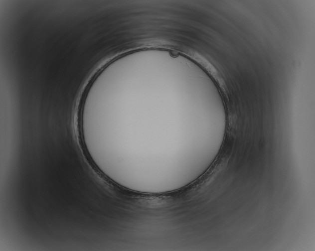 X0000100890947200807151054