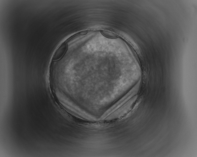 X0000100890948200807151054