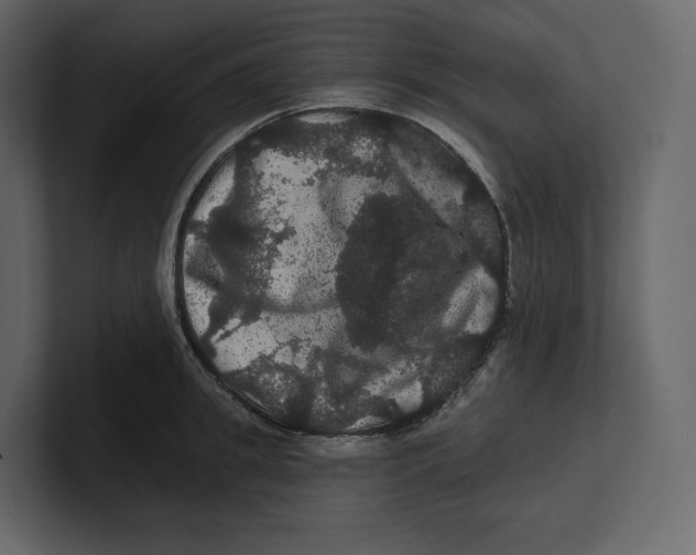 X0000100890949200807151054