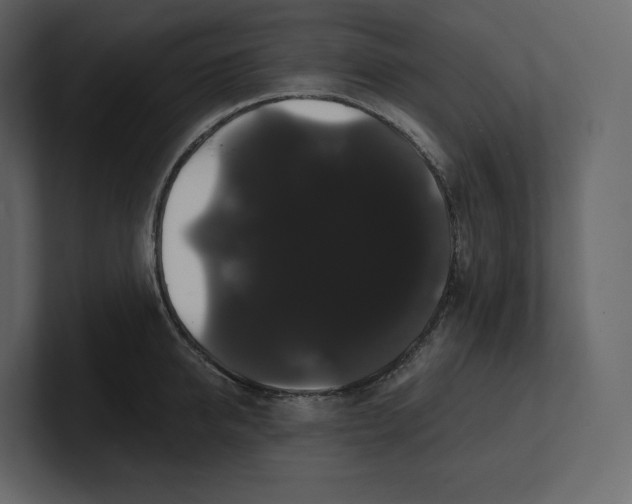 X0000100890950200807151054