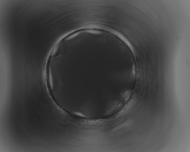 X0000100890951200807151054