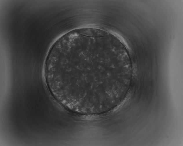 X0000100890952200807151054