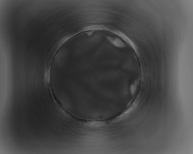 X0000100890953200807151054