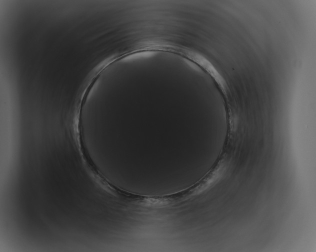 X0000100890954200807151054